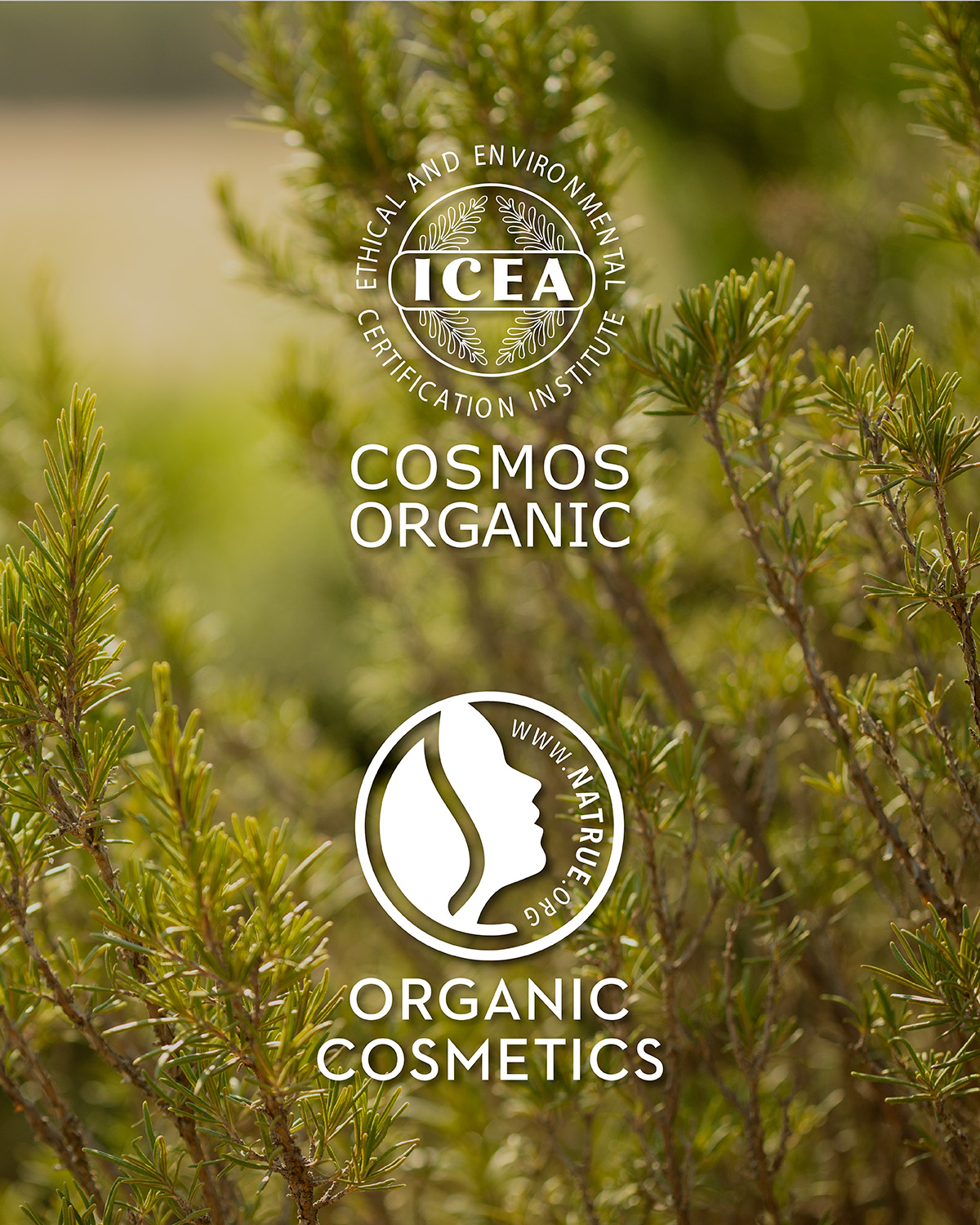Organic certification management
